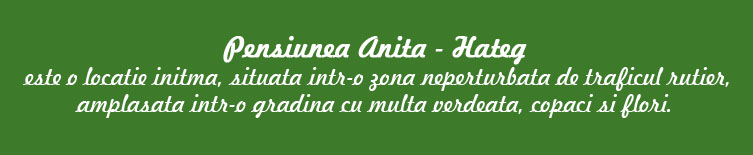 Pensiunea Anita