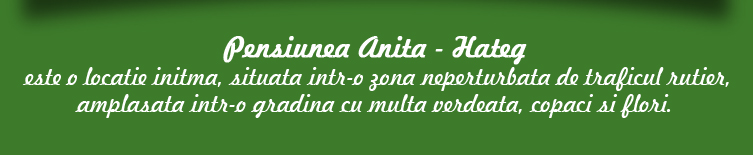 Pensiunea Anita
